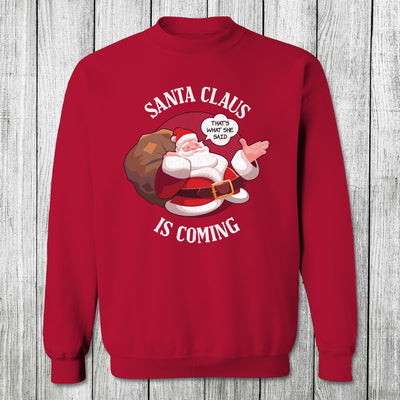 Daydream Tees Santa Claus is Coming